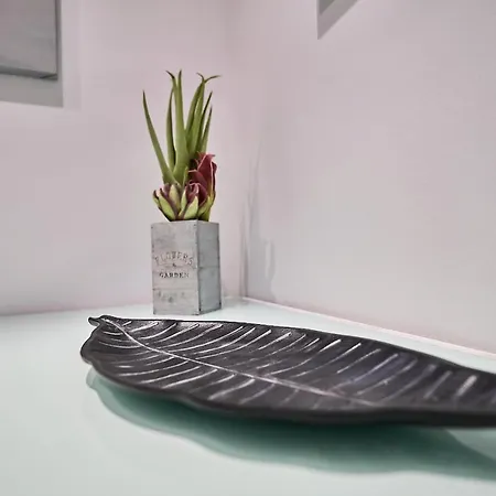 Vut Santo Tomas 3 Apartment Salamanca